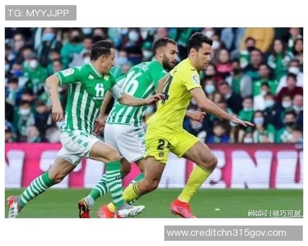 广州乒乓球队在奥运会积分榜上以73分稳居第一名引发关注